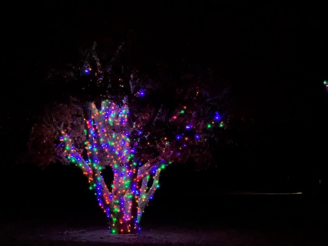 Sparkling Celebrations: Transform Your Space with Bespoke Holiday Lighting image