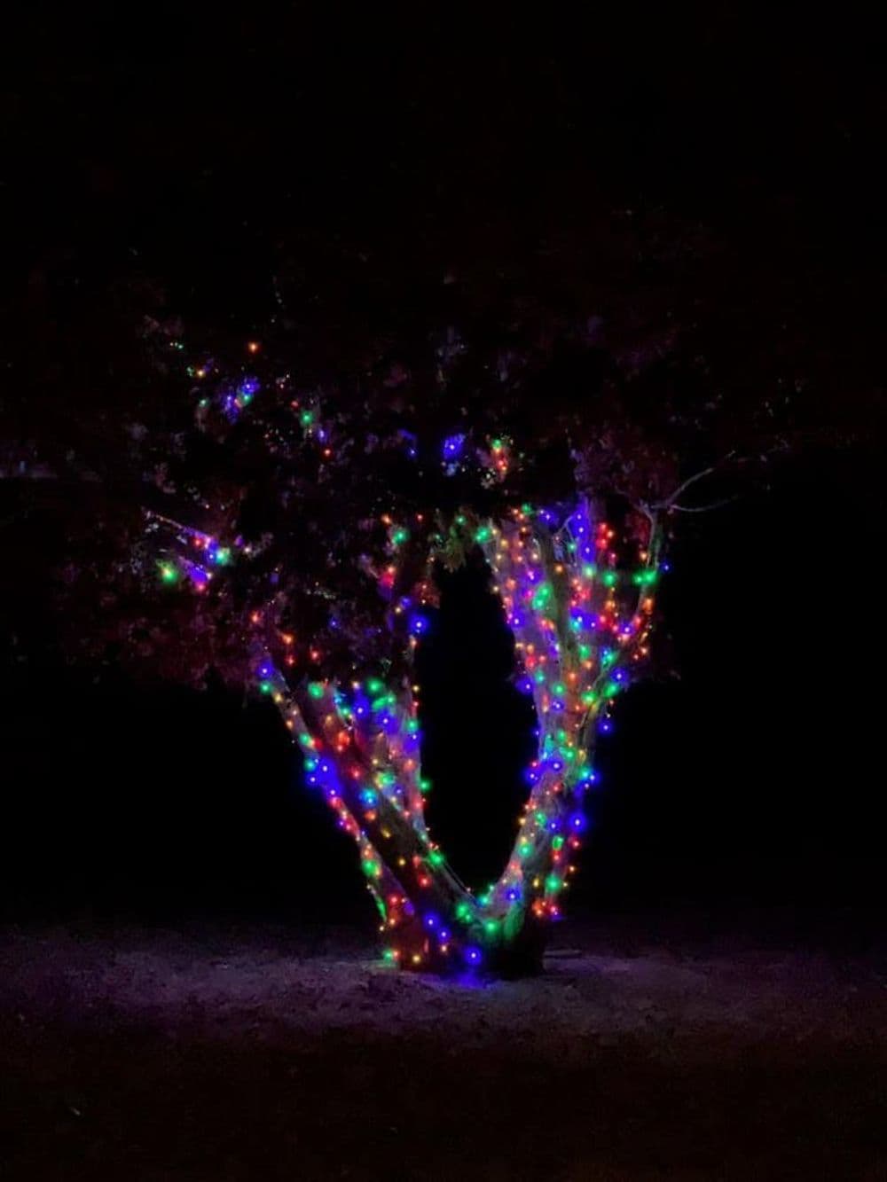 About Happy Holiday Christmas Lighting